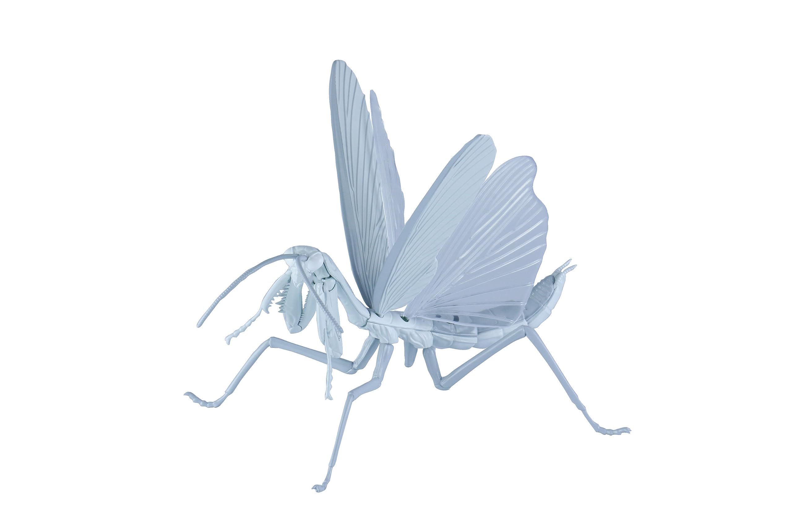 Серия бесплатных исследований №. 235 Клетки за работой! Гигантский богомол лейкоцит (нейтрофил) Вер. Пластиковая модель